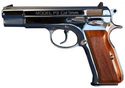 �������� Springfield P9